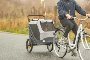 TRIXIE bicycle trailer for dogs – spring-loaded & foldable