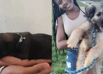 Woman Adopts Tiny Black Puppy Thrown In Bag, Films Her Complete Physical Transformation In Just Months
