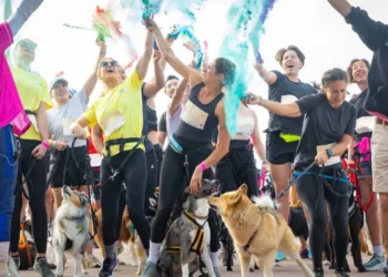 Woofest, the great dog festival, returns on June 13 and 14, 2026 in Lyon for a weekend of mud racing, games and walks