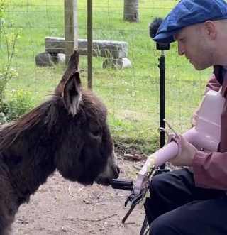 Illustration of the article: “He sang with you”, this singer plays the guitar for two miniature donkeys and one of them responds to him (video)