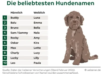 The most popular dog names in Germany – HundeNachrichten