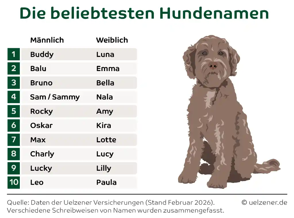 The most popular dog names in Germany - HundeNachrichten