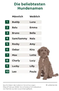 The most popular dog names in Germany