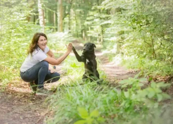 The intestines determine how well the dog can tolerate heat