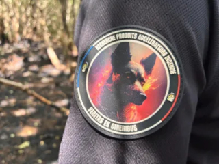 Illustration of the article: Thanks to its unparalleled flair, this Malinois is one of the rare dogs in France capable of finding fire accelerants (video)