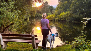 Illustration of the article: After 550 days of waiting, the “loneliest dog” in the country finally finds the home he deserved (video)