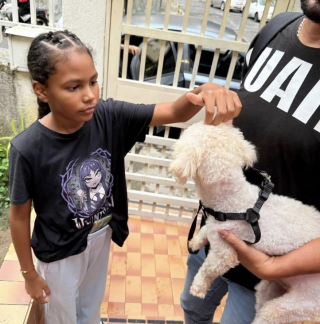 Illustration of the article: Trapped for 29 days under the rubble of an earthquake, a Poodle is found alive by rescuers (video)