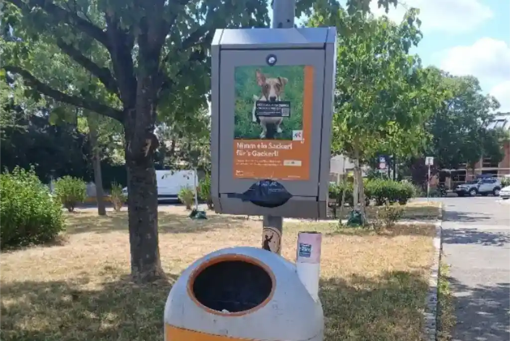 Why you should pick up dog poop