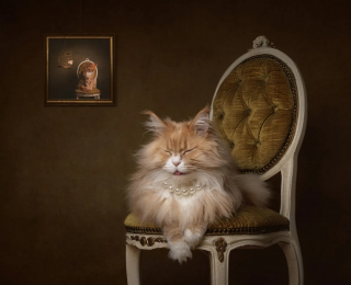 Illustration of the article: 18 finalist photos from the International Pet Photography Awards that prove that our pets are unique