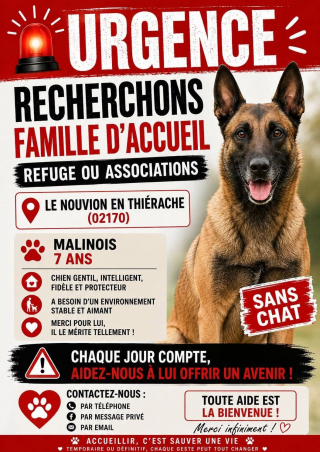 Illustration of the article: A fundraiser is launched for a dog found locked in a garage and looking for a foster family