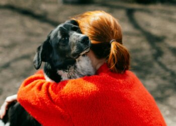 Study proves dogs actively seek to comfort crying humans
