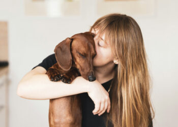 Symbiosis: study reveals that your dog's microbiota synchronizes with yours