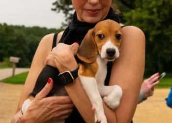 This association celebrates a “historic victory” by welcoming the last of the 2,115 Beagles rescued from a breeding facility intended for experiments
