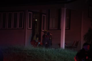 Illustration of the article: Separated from his owner by a fire, this dog finds her safe and sound thanks to the firefighters