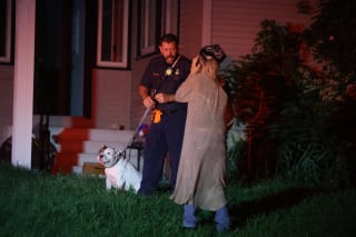 Illustration of the article: Separated from his owner by a fire, this dog finds her safe and sound thanks to the firefighters