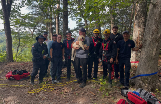 Illustration of the article: This dog, stuck on a ledge for 17 hours after a fall of 60 meters, is saved by the firefighters (video)