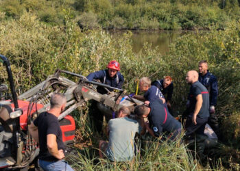 In Aisne (02), an entire village mobilizes to save a foal mired in a marsh