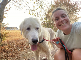 Illustration of the article: Deprived of care and outings, this dog rescued in Maine-et-Loire will see the sea for the first time in 10 years