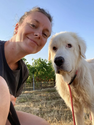 Illustration of the article: Deprived of care and outings, this dog rescued in Maine-et-Loire will see the sea for the first time in 10 years