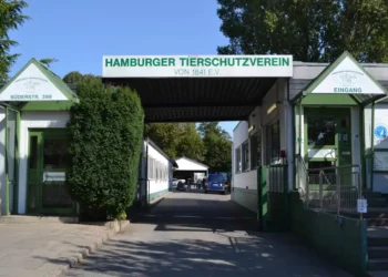 Animal Shelter Day of the Hamburg Animal Welfare Association – HundeNachrichten