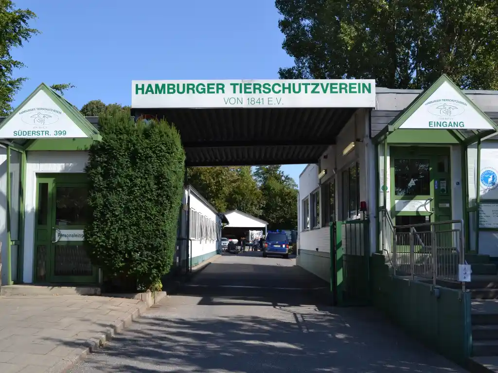 Animal Shelter Day of the Hamburg Animal Welfare Association - HundeNachrichten