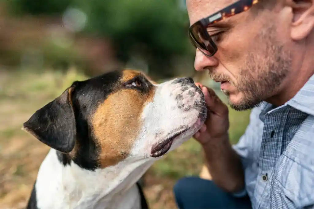 Umfrage - Kosten für den Hund