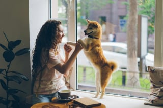 Illustration of the article: 10 little phrases to say to your dog to boost his self-confidence