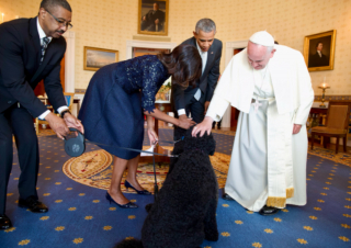 Illustration of the article: Barack Obama and his family are in mourning, the former president of the United States announces the death of their dog Sunny