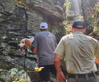Illustration of the article: Disappearing around the chalet, this dog leads her family to look for her for hours