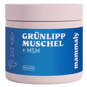 mammaly - green-lipped mussel
