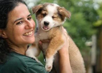 Intended to be sold for their meat, these 18 dogs are saved by an association which convinced their owners to change activity