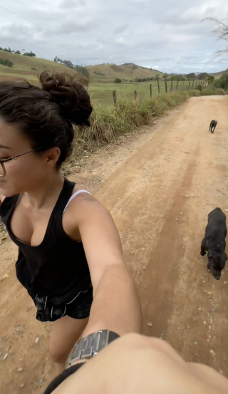 Illustration of the article: A veterinarian goes jogging again with a puppy and his mother who she thinks are strays, but they have a family (video)