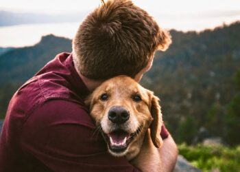 A study links the sociability of dogs towards humans to certain variations in their DNA