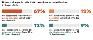 Illustration of the article: 72% of animals welcomed in France in 2025 are cats, according to the study by the SPA and the Affinity Foundation