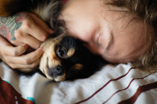 Illustration from the article: If your dog adopts one of these 14 behaviors, it means he loves you deeply