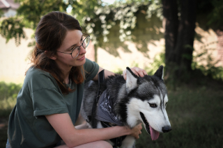 Illustration from the article: If your dog adopts one of these 14 behaviors, it means he loves you deeply