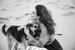 Illustration from the article: If your dog adopts one of these 14 behaviors, it means he loves you deeply