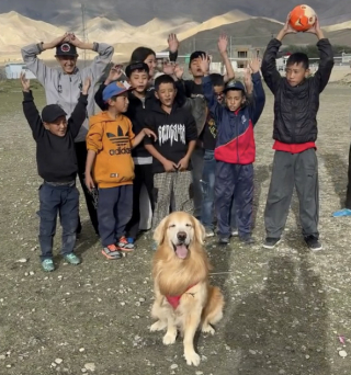 Illustration of the article: In the middle of a road trip, this Golden Retriever takes a football break with children (video)