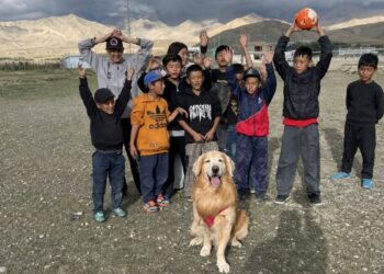 In the middle of a road trip, this Golden Retriever takes a football break with children (video)