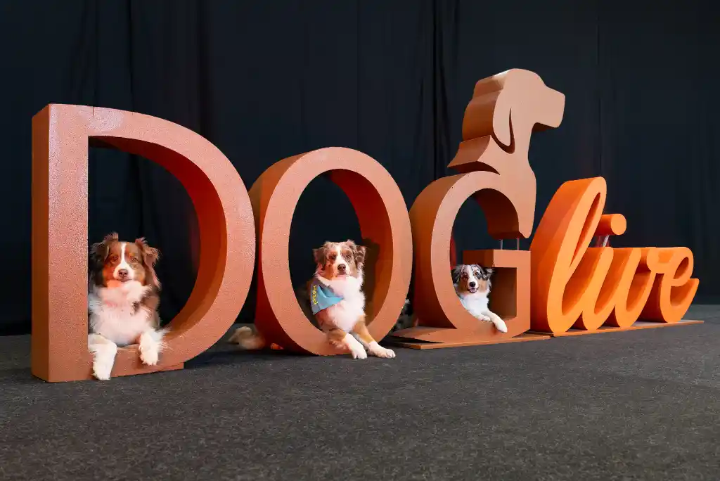 DOGlive trade fair - experiencing dog love