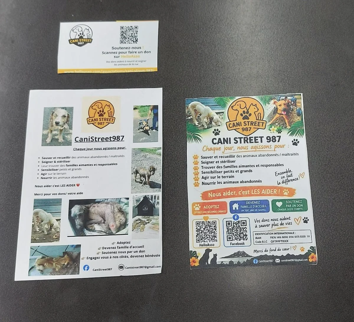 Posters of an association