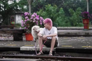 Gohan - Three lives on four paws