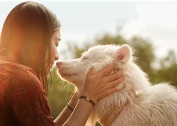 Gohan – three lives on four paws