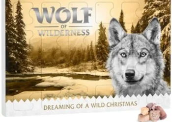 Advent calendar for dogs from zooplus