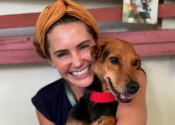 A veterinarian wants to travel 620 km in 22 days to finance a new hospital for stray animals