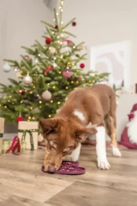 Trixie - Xmas Lick'n'Snack Mat