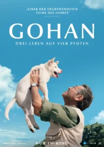 Gohan - Three lives on four paws