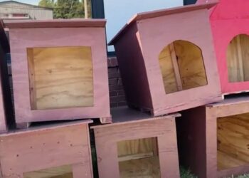 High school students make kennels in class, then donate them to an association for its dogs