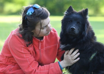 Pink October: dogs could inspire researchers to develop “electronic noses” for breast cancer screening