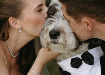 This dog welcomes guests to his owners' wedding with a camera attached to his collar (video)